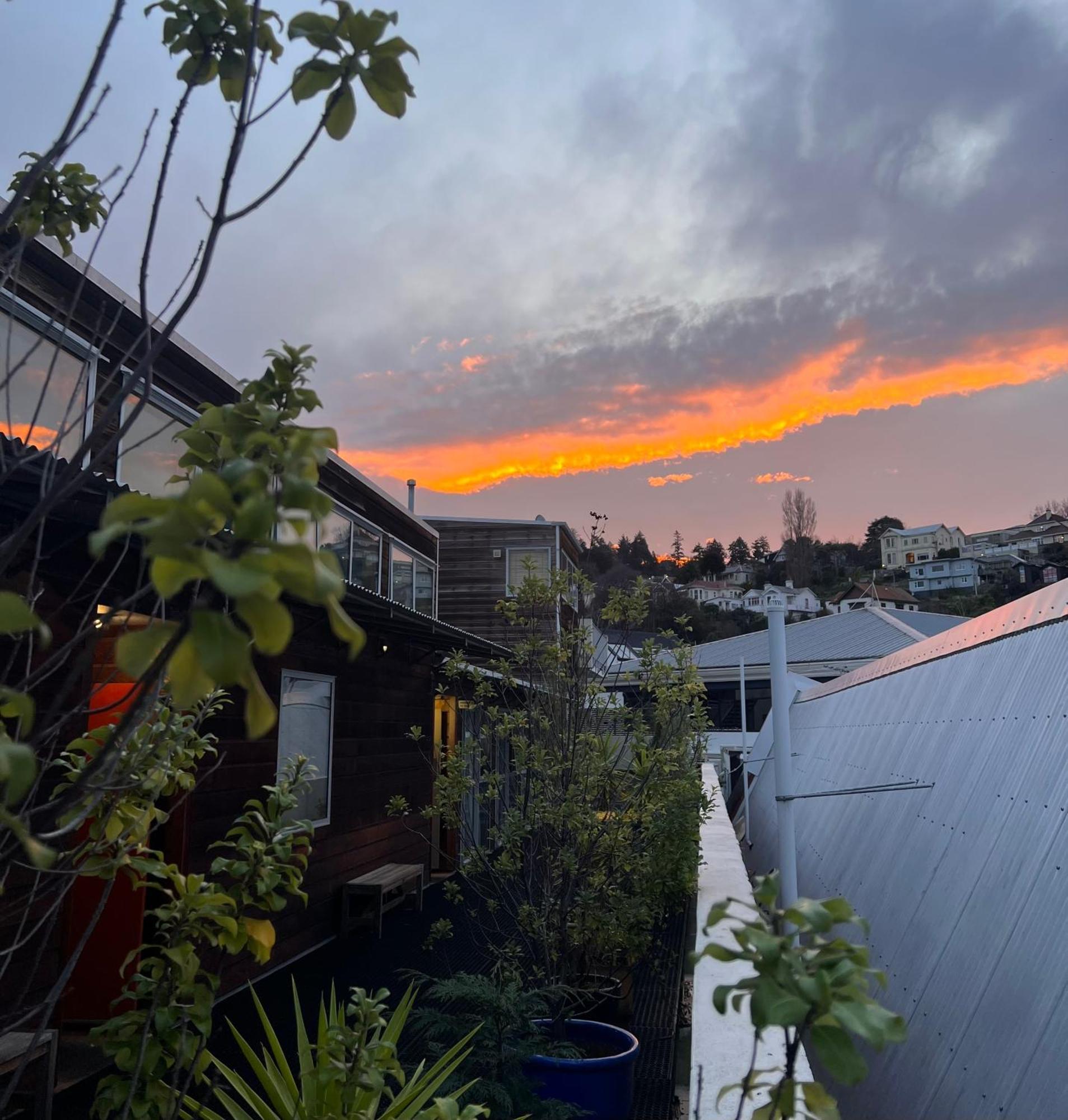 On Top Backpackers Dunedin Exterior photo
